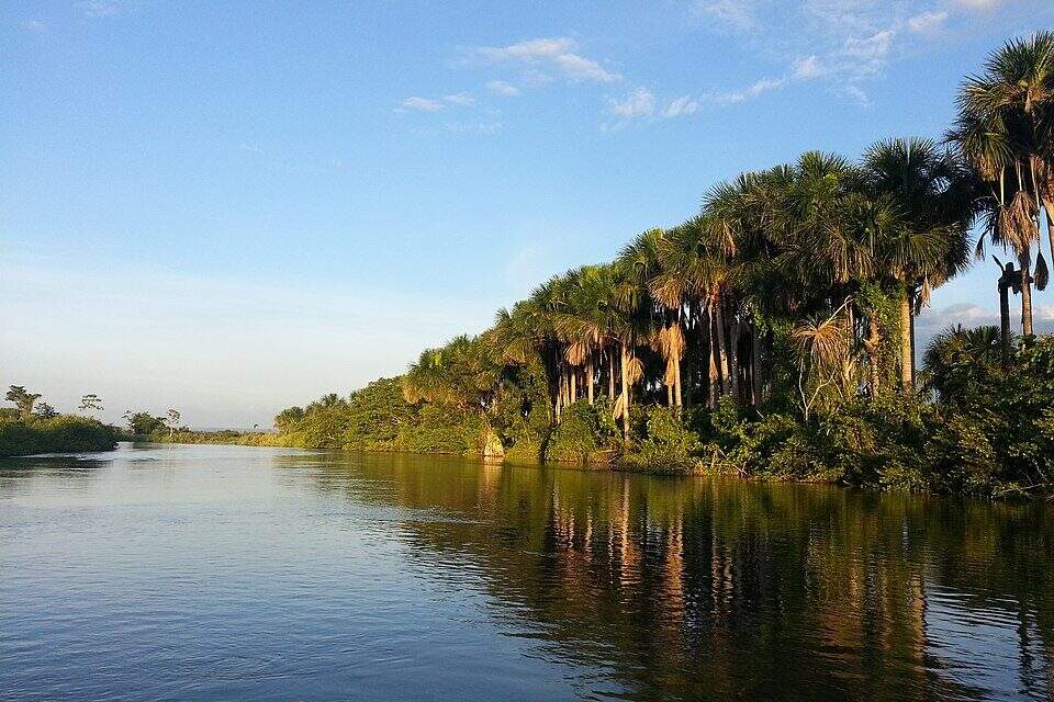 Rio de águas escuras com margem com árvores