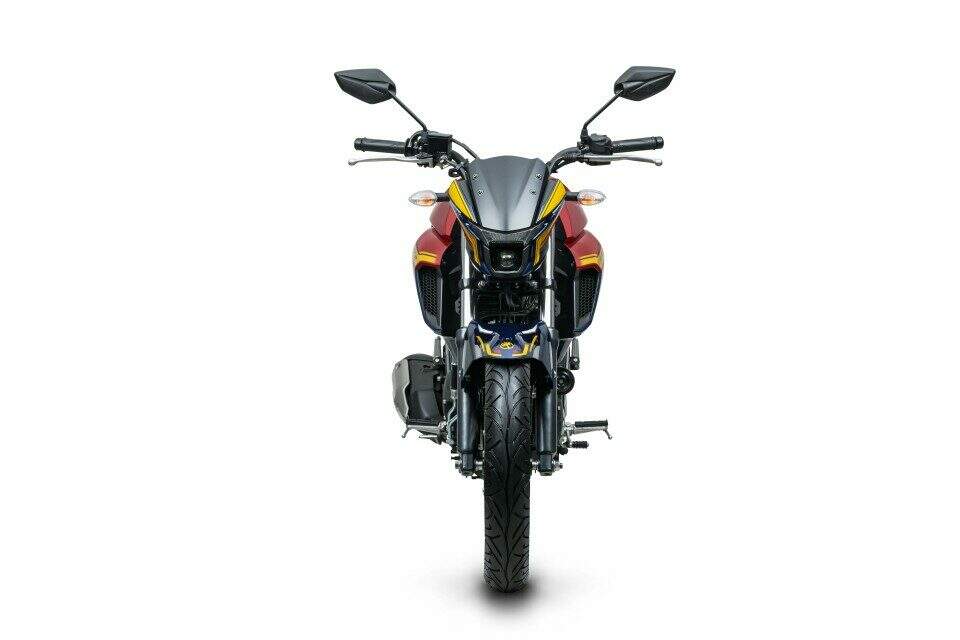 Yamaha Fazer 250 Thor.