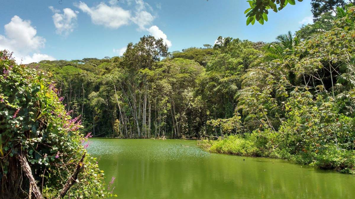 Parque Municipal de Maceió será cenário para'Deus ainda é brasileiro' - Diário do Poder