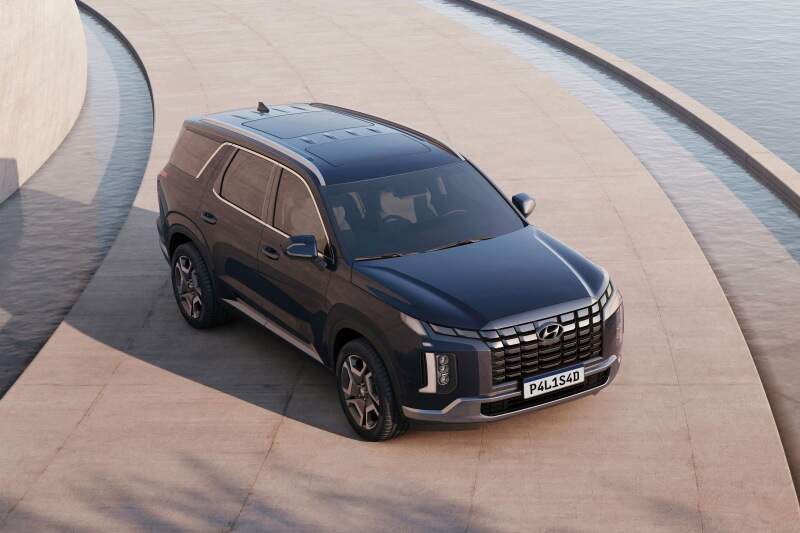 Hyundai Palisade.