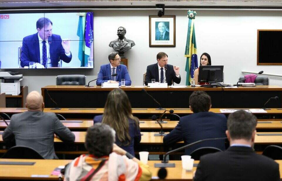 Reunião da Comissão de Relações Exteriores da Câmara dos Deputados. Foto Vinicius Loures/Câmara dos Deputados